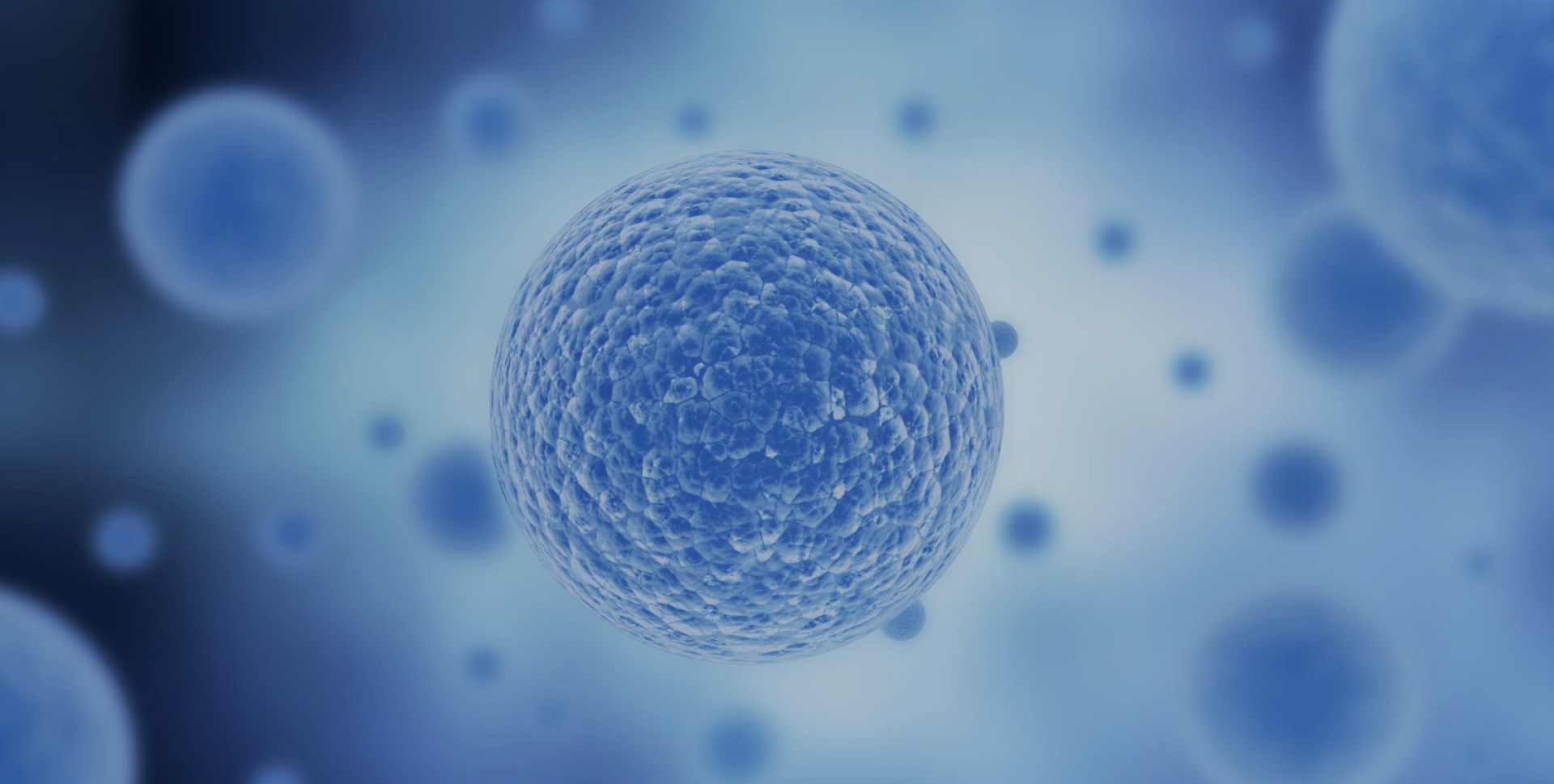 bifa必发科技集团股份有限公司